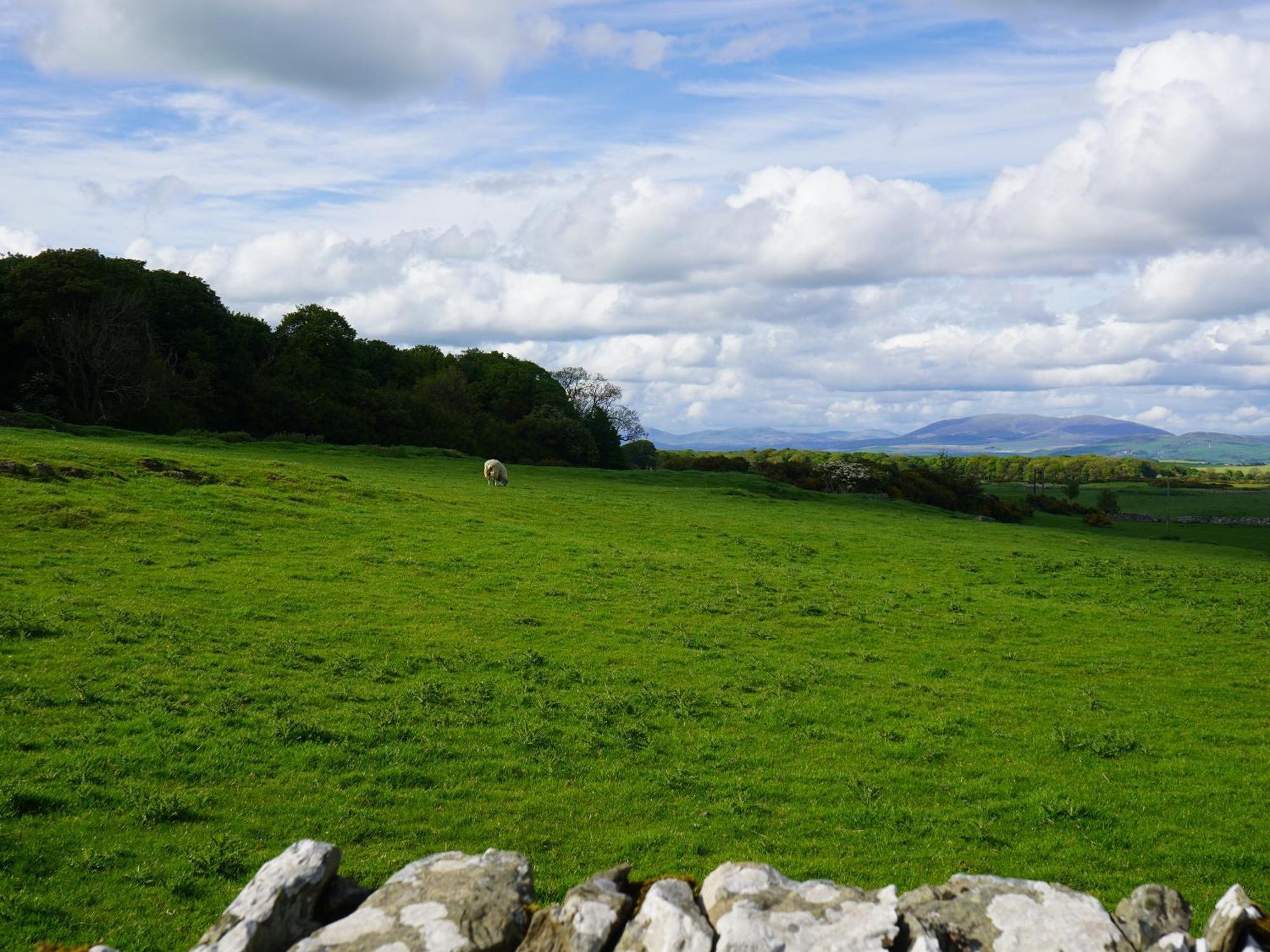 Roe Deer Lodge Newton Stewart Bagian luar foto