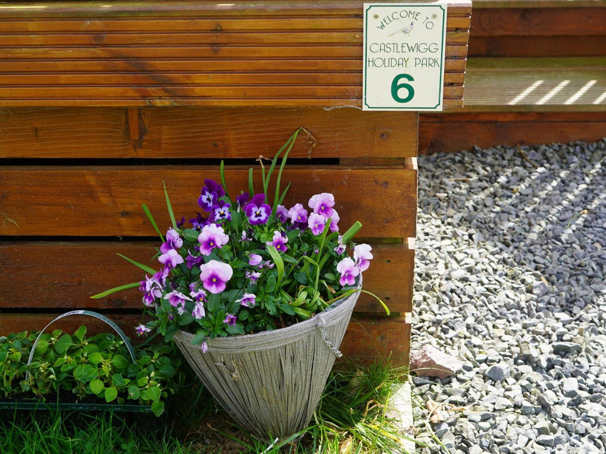 Roe Deer Lodge Newton Stewart Bagian luar foto